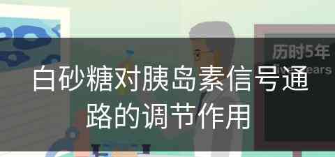 白砂糖对胰岛素信号通路的调节作用